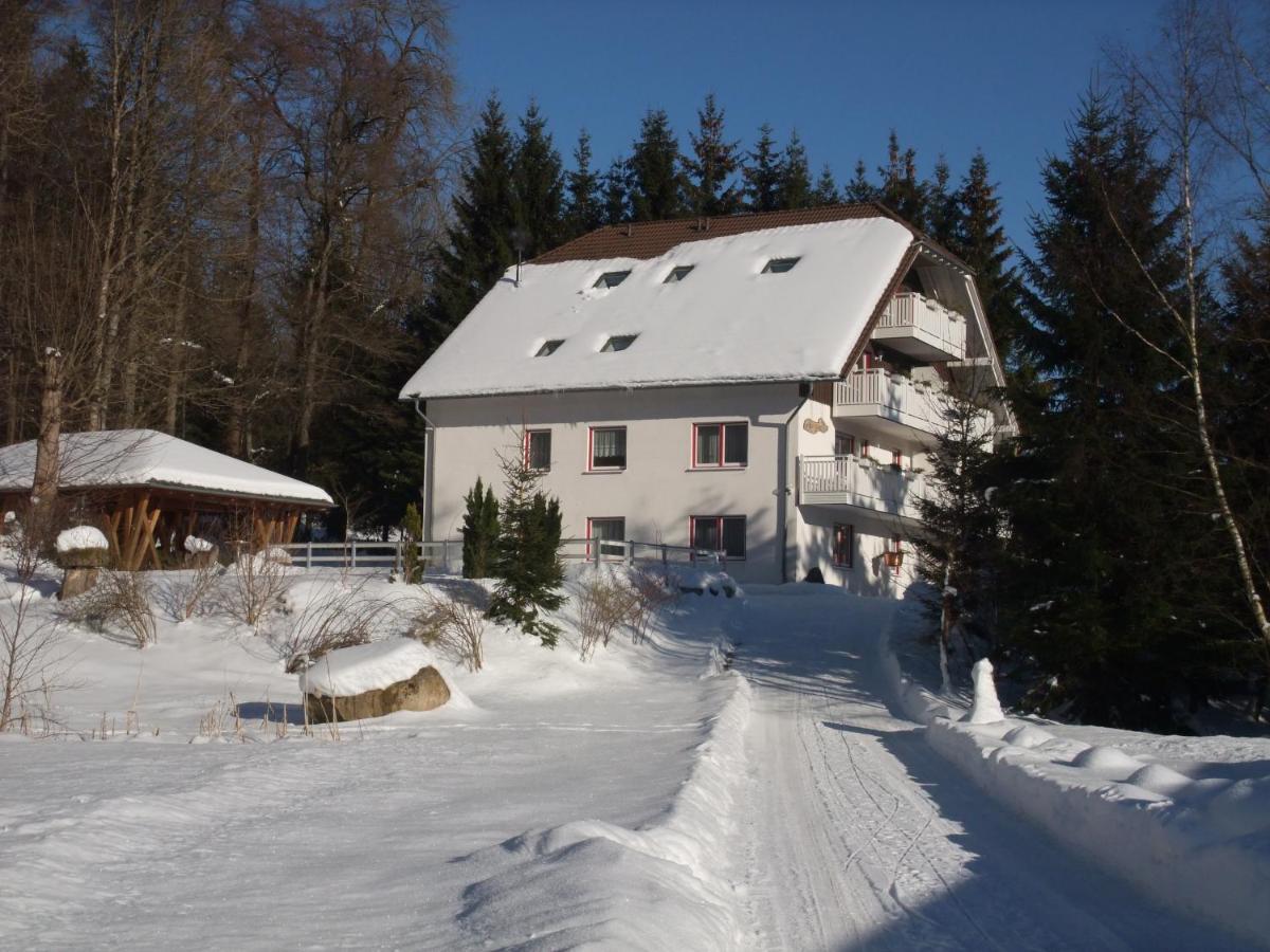 Ferienhaus Hubertus in Elend mit Balkons Exterior foto